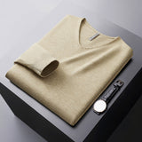 Ardin V-neck Sweater