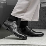 Pasera Genuine Leather Oxfords