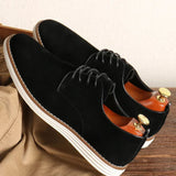 Castro Suede Shoes